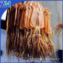 export dried squid illex skinless cleaned